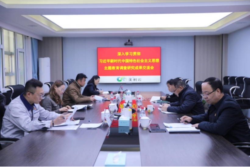 英国365集团官网党委召开学习贯彻习近平新时代中国特色社会主义思想主题教育调研成果交流研讨会
